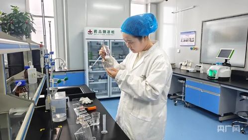 阜康双轮驱动 科技创新引领绿色产业升级与网络技术服务发展